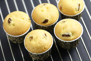 ֽ������